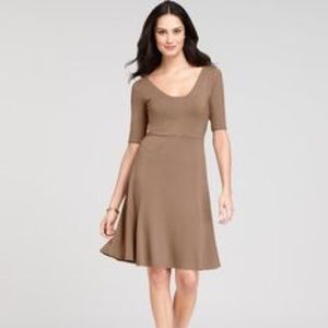 Anne Taylor Jersey Dress